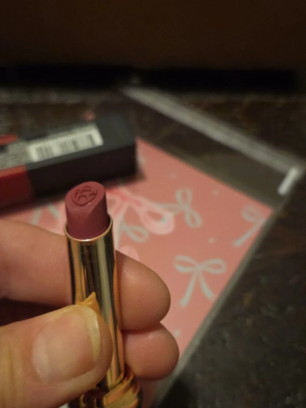 Duo Revlon ColorStay Suede Ink & LOREAL Color Riche le Rosewood Ambition